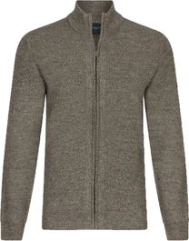 Cavallaro cipro vest groen